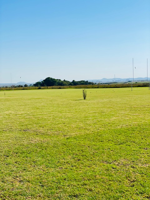 School gallery
